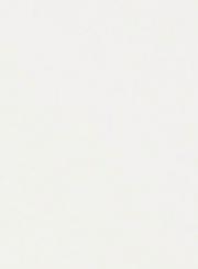 Schiebevorhang 60x270 cm 